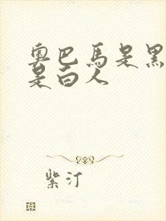 奥巴马是黑人还是白人