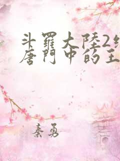 斗罗大陆2绝世唐门中的王冬