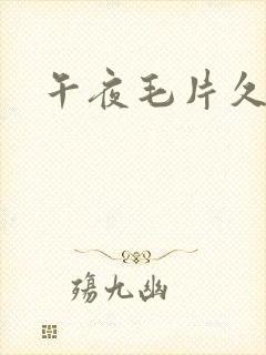午夜毛片久久久