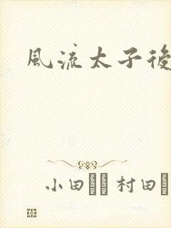 风流太子后宫传