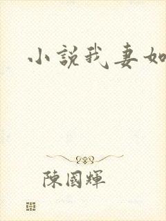 小说我妻如奴