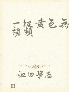 一级黄色无遮挡视频
