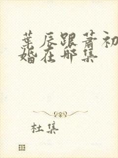 叶辰跟萧初然离婚在哪集