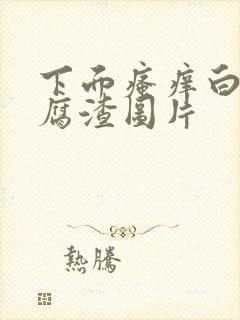 下面瘙痒白带豆腐渣图片