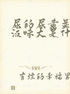 尿的尿黄并且尿液味大是什么原因