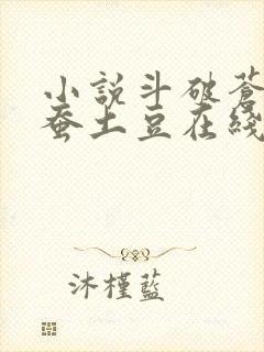 小说斗破苍穹天蚕土豆在线阅读