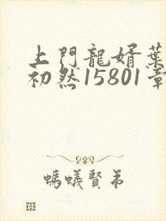 上门龙婿叶辰萧初然15801章