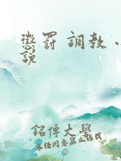 惩罚 调教 小说