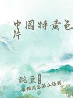 中国特黄色一级片