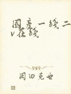 国产一线二线av在线