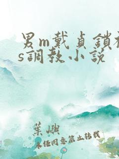 男m戴贞锁被女s调教小说