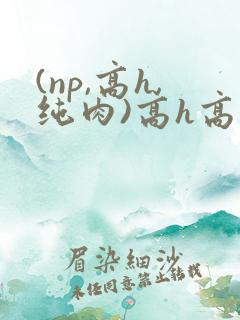 (np,高h,纯肉)高h高辣小说