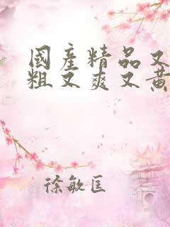 国产精品又猛又粗又爽又黄视频