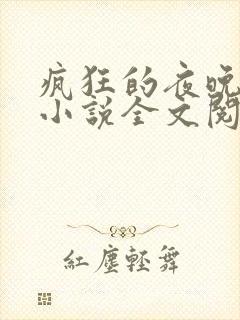 疯狂的夜晚苏柔小说全文阅读