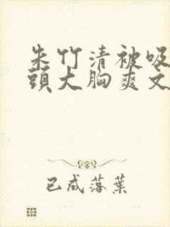 朱竹清被吸乳奶头大胸爽文