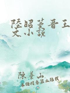 陆昭菱晋王的全文小说