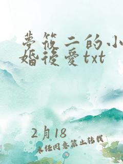 梦筱二的小说先婚后爱txt