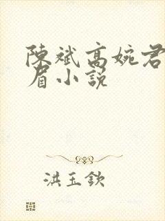 陈斌高婉君赵心眉小说