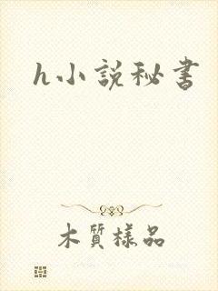h小说秘书