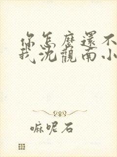 你怎么还不来哄我沈观南小说免费阅读