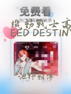 机动战士高达SEED DESTINY ASTRAY：结局+番外