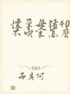 怀孕母猪40度不吃食怎么办