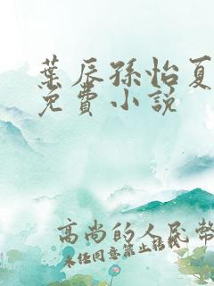 叶辰孙怡夏若雪免费小说