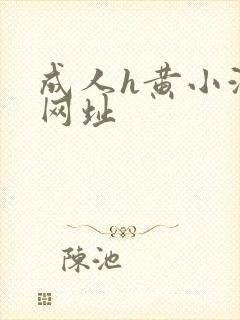 成人h黄小游戏网址