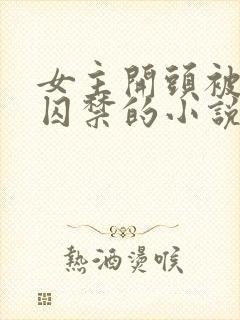 女主开头被锁链囚禁的小说