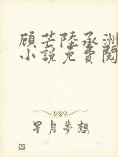 顾芒陆承洲正版小说免费阅读