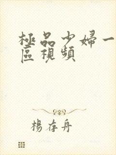 极品少妇一区二区视频