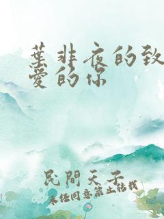 叶非夜的致我最爱的你