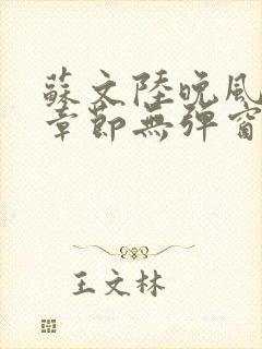 苏文陆晚风最新章节无弹窗笔趣阁