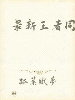 最新王者同人