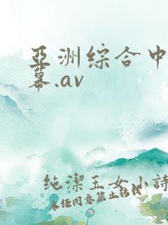 亚洲综合中文字幕.av