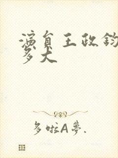 演员王政钧年龄多大