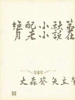 绝配小秋第四部月老小说在线阅读