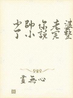 少帅你老婆又跑了小说完整免费