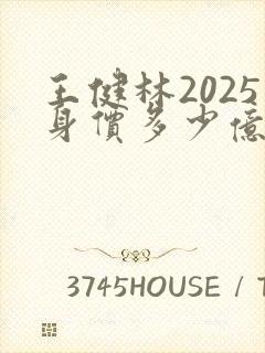 王健林2025身价多少亿元