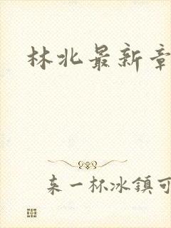 林北最新章节