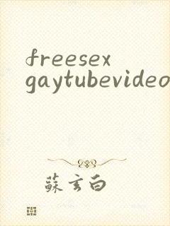 freesexgaytubevideo