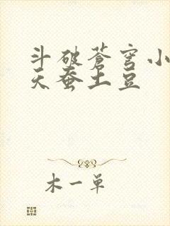 斗破苍穹小说 天蚕土豆
