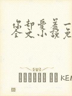 你却爱着一个他全文小说免费阅读未删减