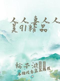 人人妻人人澡欧美91精品