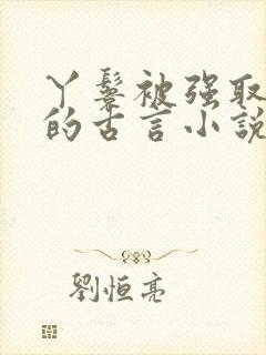 丫鬟被强取豪夺的古言小说