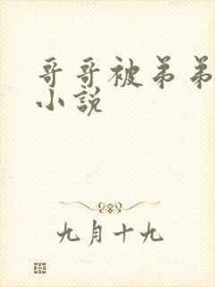 哥哥被弟弟调教小说