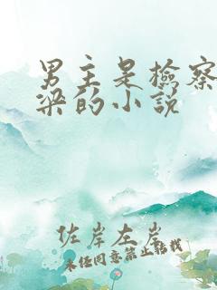 男主是检察官姓梁的小说