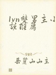 1vn双男主小说推荐