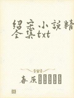 绍宋小说精校版全集txt