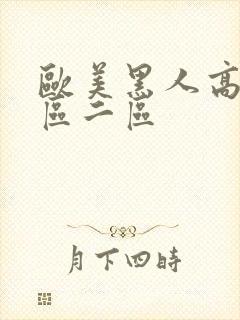 欧美黑人高清一区二区